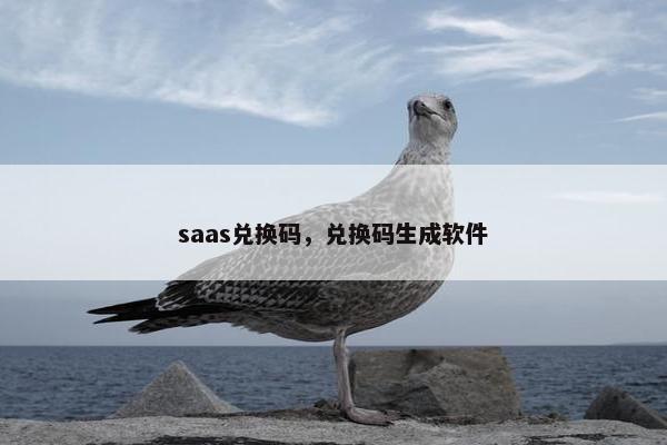 saas兑换码，兑换码生成软件