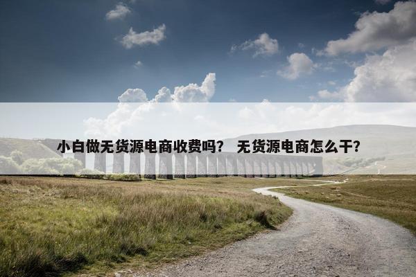 小白做无货源电商收费吗？ 无货源电商怎么干？