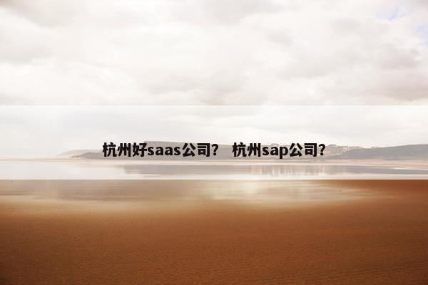 杭州好saas公司？ 杭州sap公司？