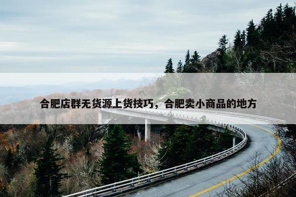 合肥店群无货源上货技巧，合肥卖小商品的地方