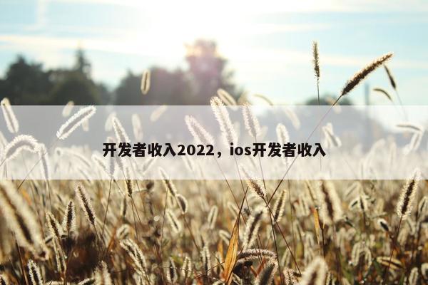 开发者收入2022，ios开发者收入