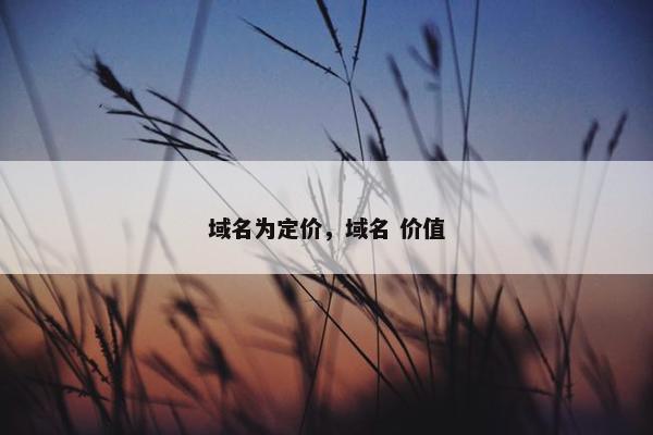 域名为定价，域名 价值
