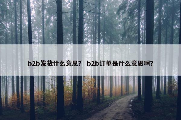 b2b发货什么意思？ b2b订单是什么意思啊？