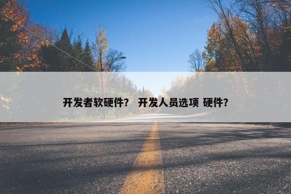开发者软硬件？ 开发人员选项 硬件？