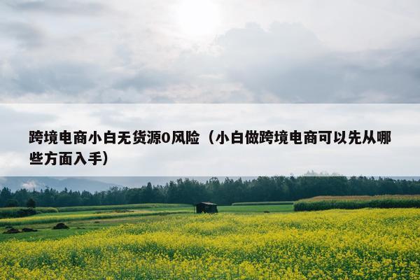 跨境电商小白无货源0风险（小白做跨境电商可以先从哪些方面入手）