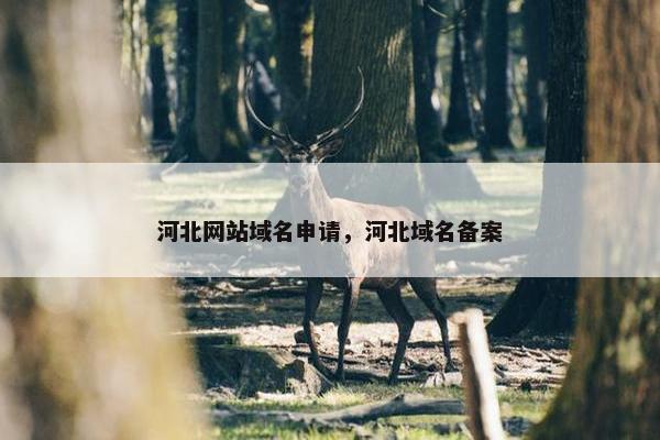 河北网站域名申请，河北域名备案