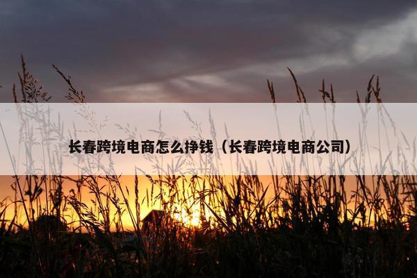 长春跨境电商怎么挣钱（长春跨境电商公司）