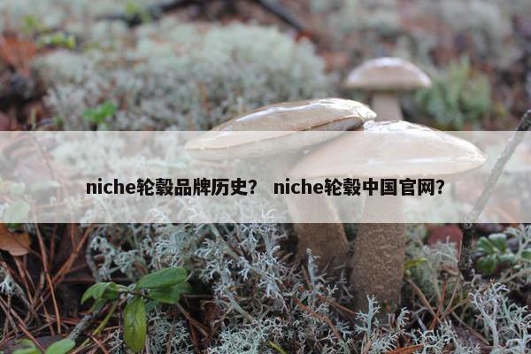 niche轮毂品牌历史？ niche轮毂中国官网？