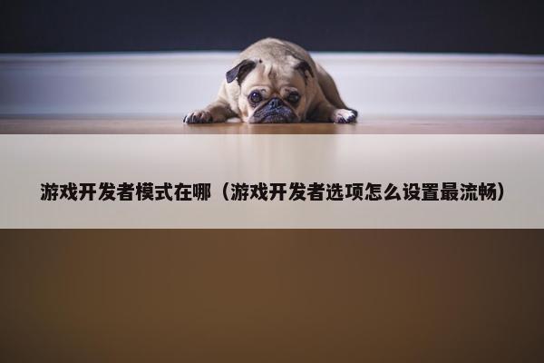 游戏开发者模式在哪（游戏开发者选项怎么设置最流畅）