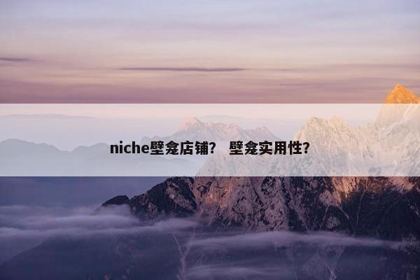 niche壁龛店铺？ 壁龛实用性？