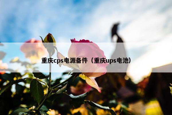 重庆cps电源备件（重庆ups电池）