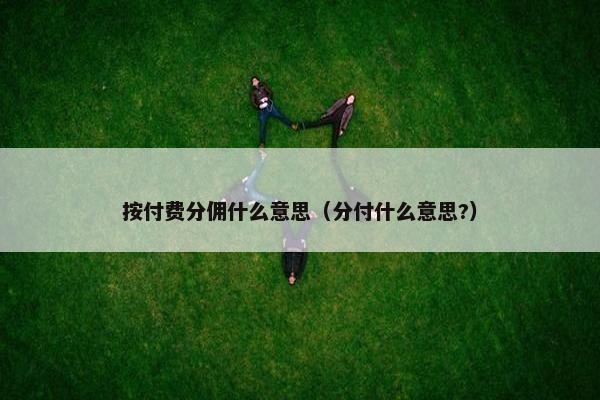 按付费分佣什么意思（分付什么意思?）