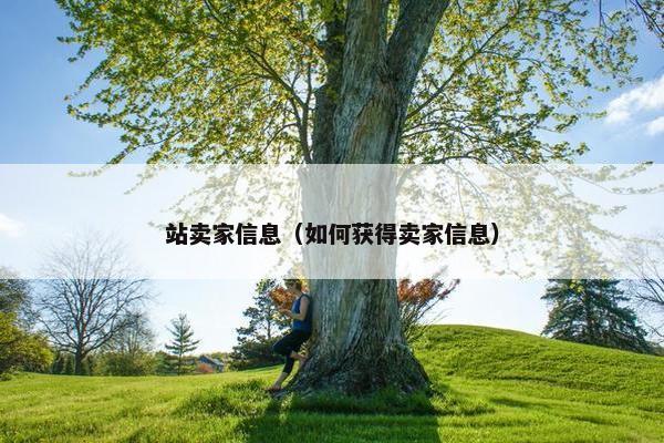站卖家信息（如何获得卖家信息）