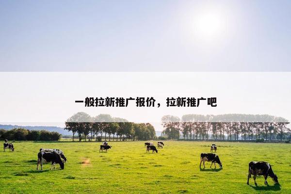 一般拉新推广报价，拉新推广吧