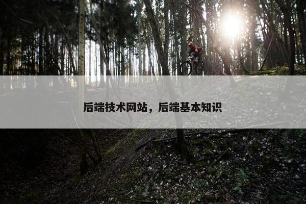 后端技术网站，后端基本知识