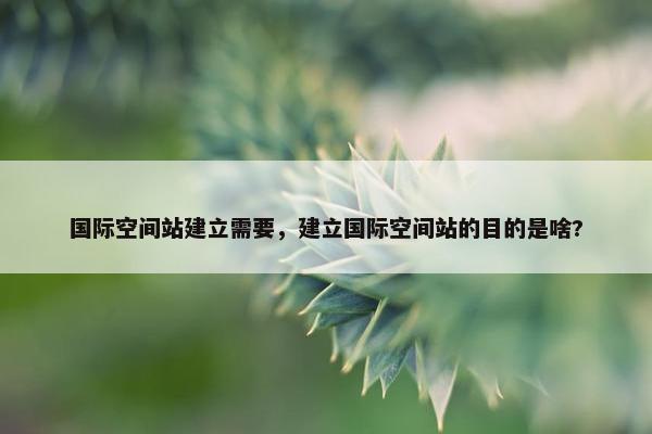 国际空间站建立需要，建立国际空间站的目的是啥?