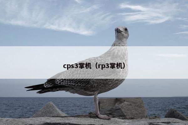 cps3掌机（rp3掌机）