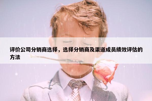 评价公司分销商选择，选择分销商及渠道成员绩效评估的方法