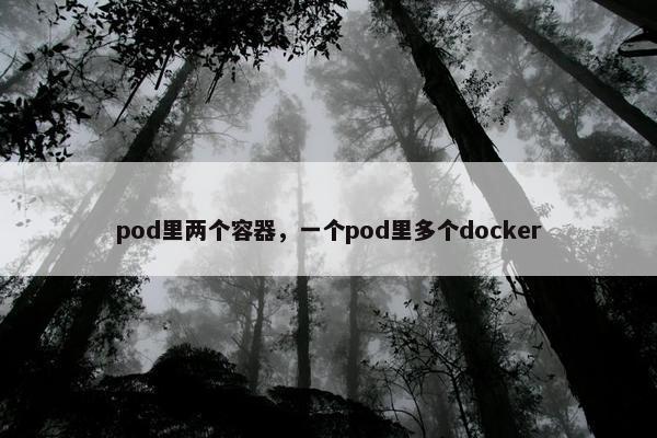 pod里两个容器，一个pod里多个docker