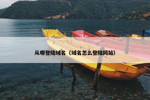 从哪登陆域名（域名怎么登陆网站）