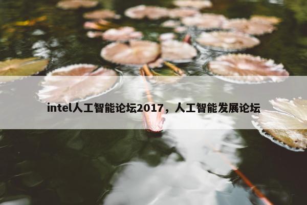 intel人工智能论坛2017，人工智能发展论坛