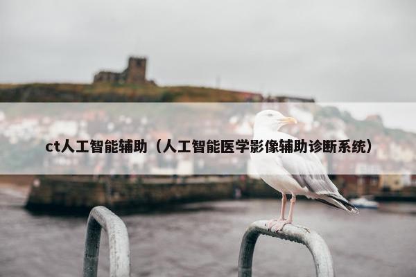 ct人工智能辅助（人工智能医学影像辅助诊断系统）