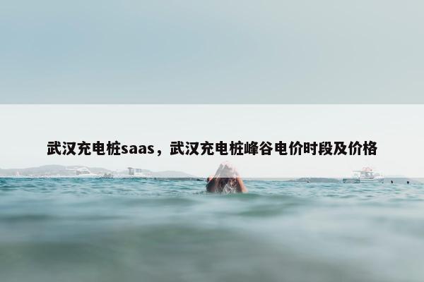 武汉充电桩saas，武汉充电桩峰谷电价时段及价格