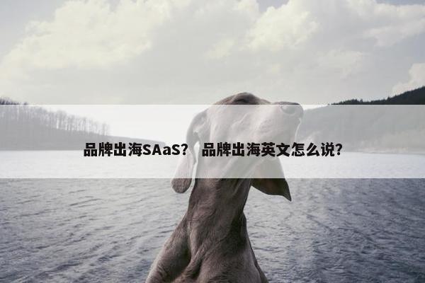 品牌出海SAaS？ 品牌出海英文怎么说？
