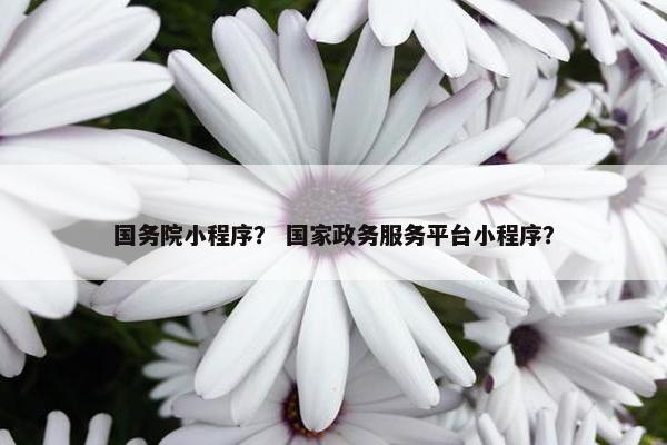国务院小程序？ 国家政务服务平台小程序？
