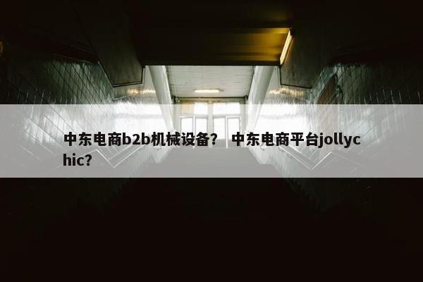 中东电商b2b机械设备？ 中东电商平台jollychic？