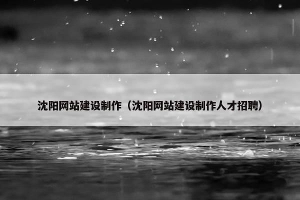沈阳网站建设制作（沈阳网站建设制作人才招聘）