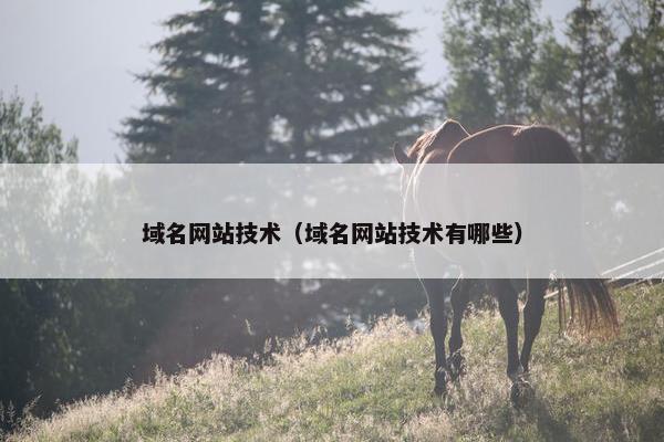 域名网站技术（域名网站技术有哪些）
