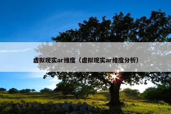 虚拟现实ar维度（虚拟现实ar维度分析）