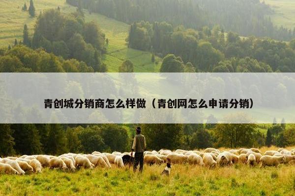 青创城分销商怎么样做（青创网怎么申请分销）
