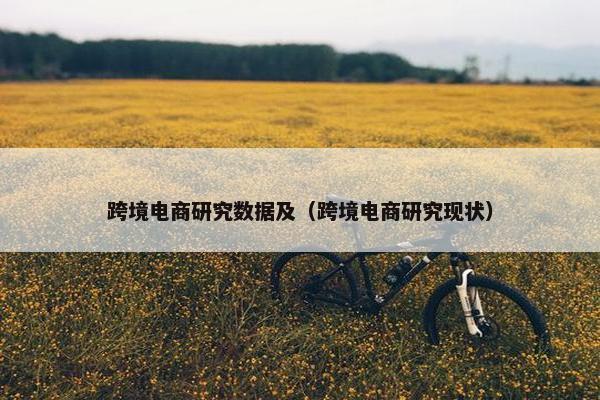 跨境电商研究数据及（跨境电商研究现状）
