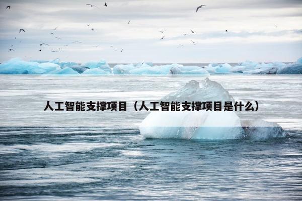 人工智能支撑项目（人工智能支撑项目是什么）