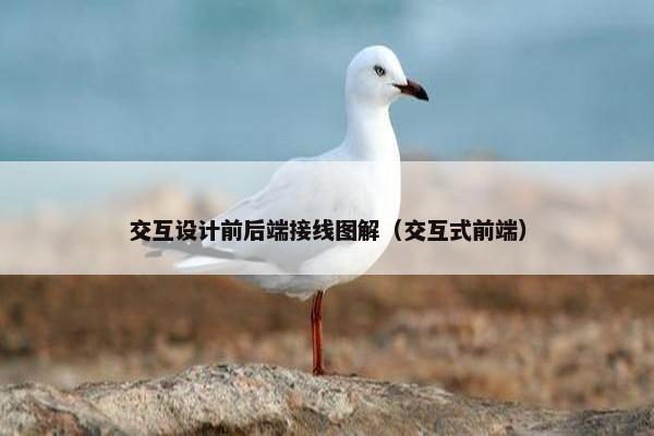 交互设计前后端接线图解（交互式前端）