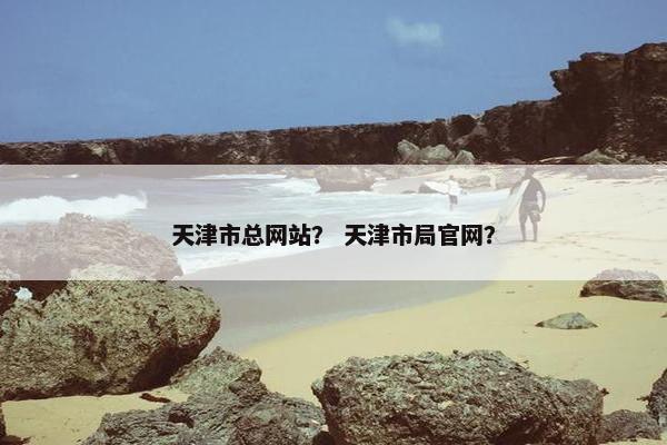 天津市总网站？ 天津市局官网？