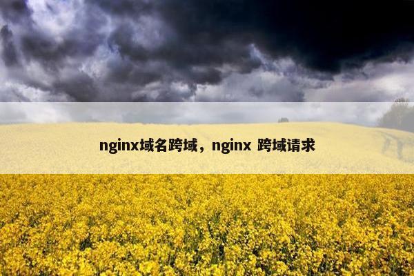 nginx域名跨域，nginx 跨域请求
