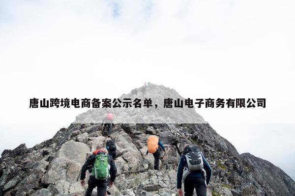 唐山跨境电商备案公示名单，唐山电子商务有限公司