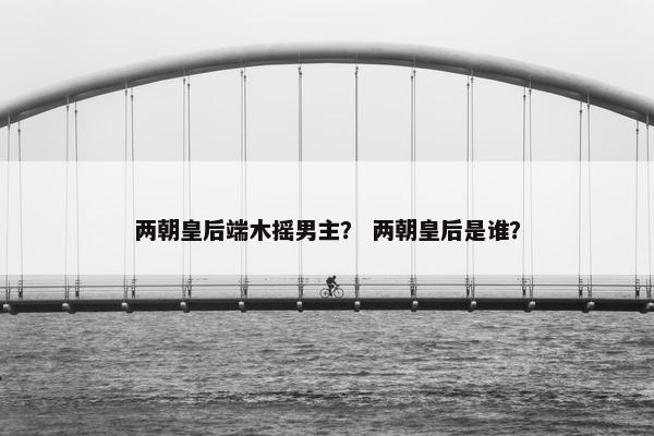 两朝皇后端木摇男主？ 两朝皇后是谁？