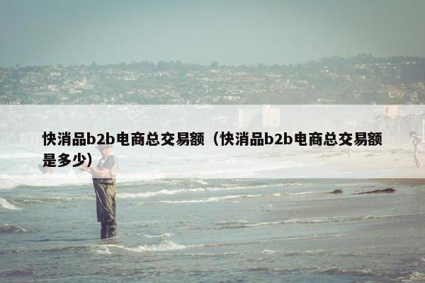 快消品b2b电商总交易额（快消品b2b电商总交易额是多少）