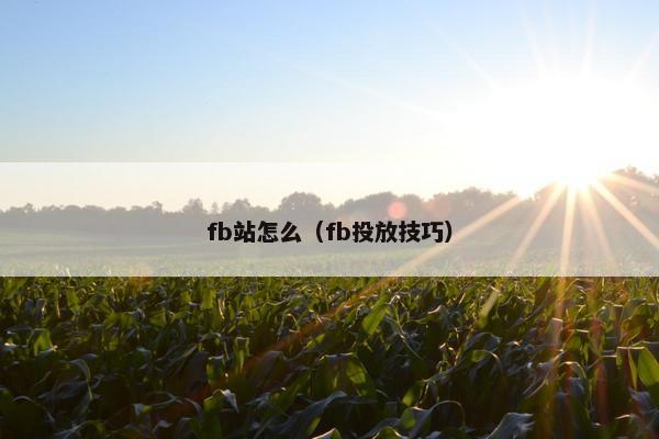 fb站怎么（fb投放技巧）