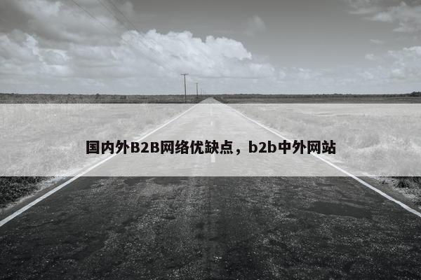 国内外B2B网络优缺点，b2b中外网站