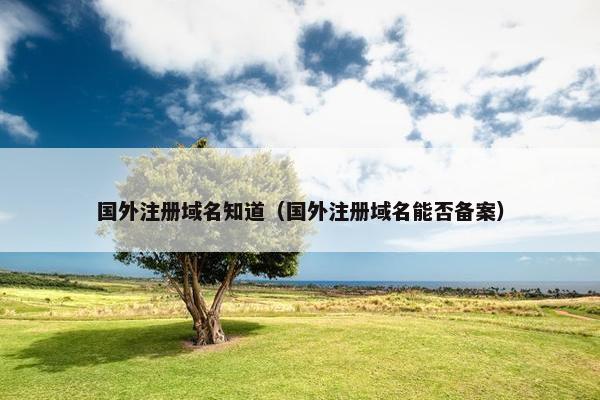 国外注册域名知道（国外注册域名能否备案）