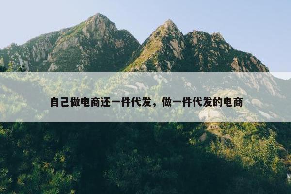 自己做电商还一件代发，做一件代发的电商