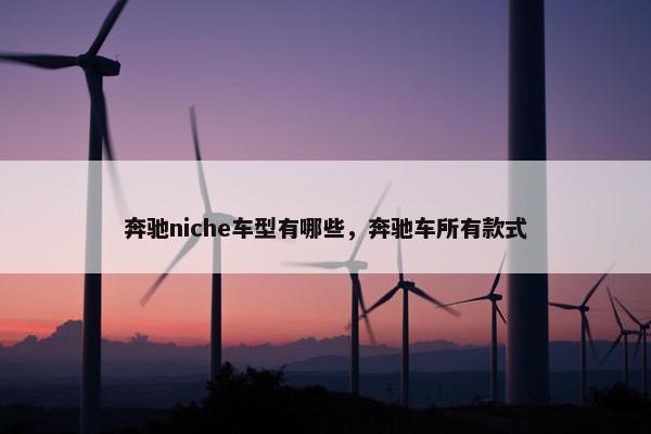 奔驰niche车型有哪些，奔驰车所有款式