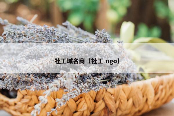社工域名商（社工 ngo）