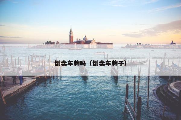 倒卖车牌吗（倒卖车牌子）