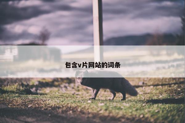 包含v片网站的词条
